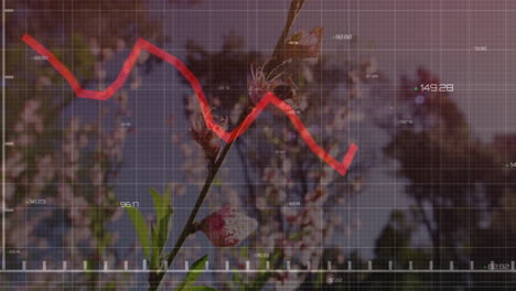 in animation, red financial graph line over blooming flowers and trees outdoors