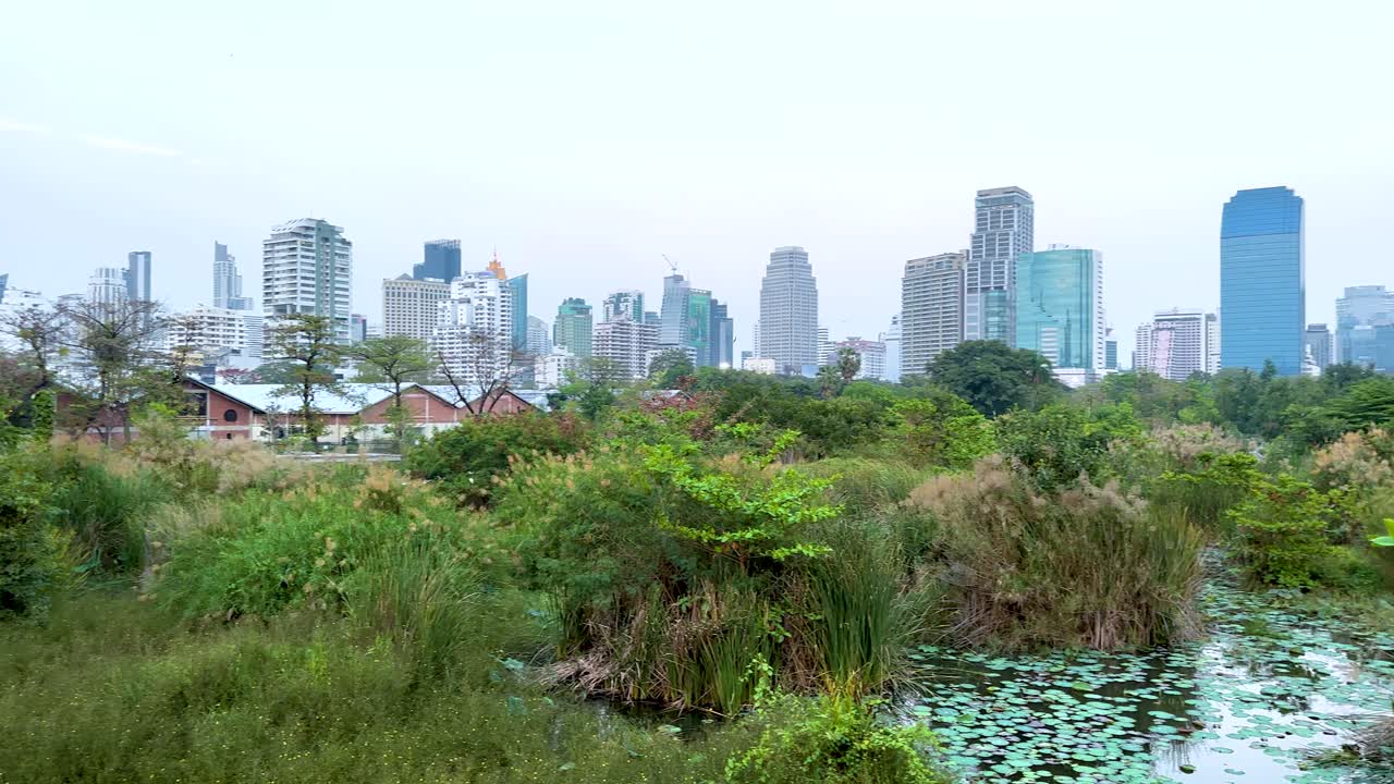 방 시내 스카이 라인 가운데 울창한 초록색과 연못