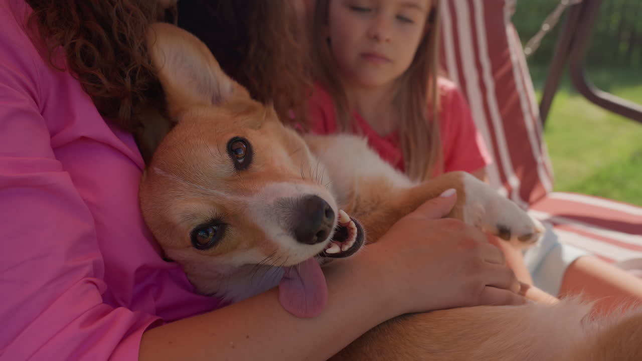 Dog Relaxes Peacefully, Sleeping Dog Between Mother And Daughter, Corgi Enjoying Tranquil Moment With Loved Ones Outdoors, Contented Corgi Sits Between Family Members On Sunny Garden Swing