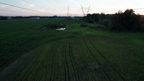 Fast-Flying-Towards-Power-Lines