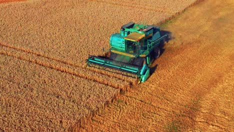 aerial view of ripe grain crops in the field harvested by farmer driving a combine harvester