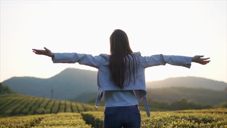 mujer disfrutando de la puesta de sol en una plantación de té