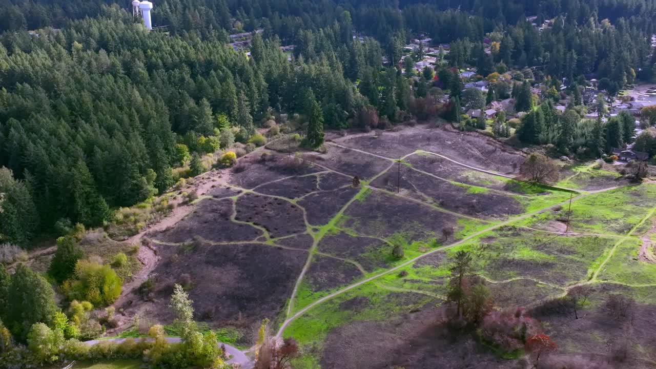 vista aérea de las secuelas de un incendio en el parque fort steilacoom cerca de lakewood, washington, ee.uu.