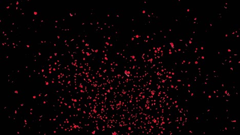 los pétalos de sakura cayendo. románticas flores rosadas rojas cayendo el bucle de lluvia de fondo pantalla verde.
