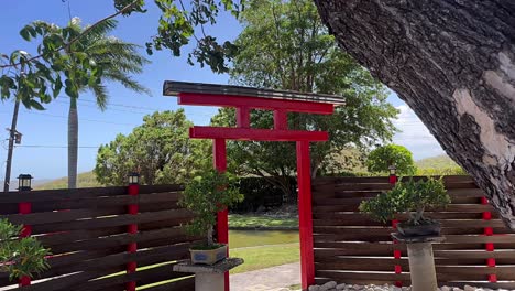 japanese garden entrance with red torii gate and bonsai trees