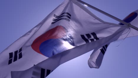 agitando la bandera coreana en el sol