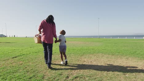 video of back of african american father and son walking on lawn, looking place for picnic