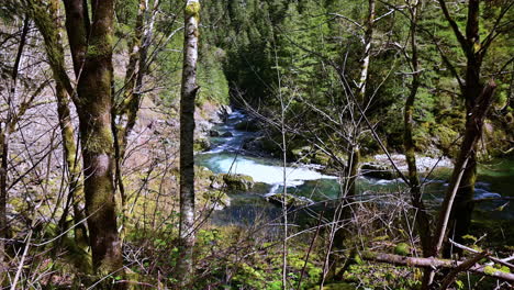 View-through-tree-branches-of-Elk-River-flowing-near-Port-Orford-in-Oregon