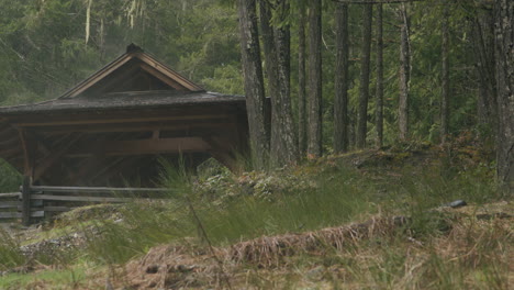 emerging from the mist, a mystical wooden house captivates with its weathered charm. enigmatic and alluring, it invites curiosity, whispering tales of wonder within its ancient walls.