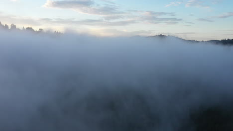 breaking through the clouds to see the top of the mountains and redwood trees in california