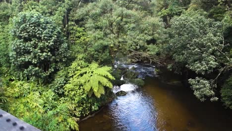 Tren-Cruzando-Un-Puente-De-Acero-Sobre-El-Río-De-La-Selva-En-El-Bosque-Tropical