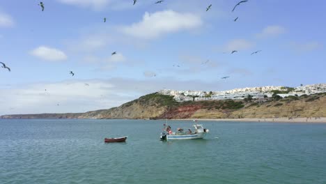 barco de pesca conduciendo hacia la playa de salema en portugal mientras las gaviotas hambrientas vuelan por encima en un día soleado y hermoso