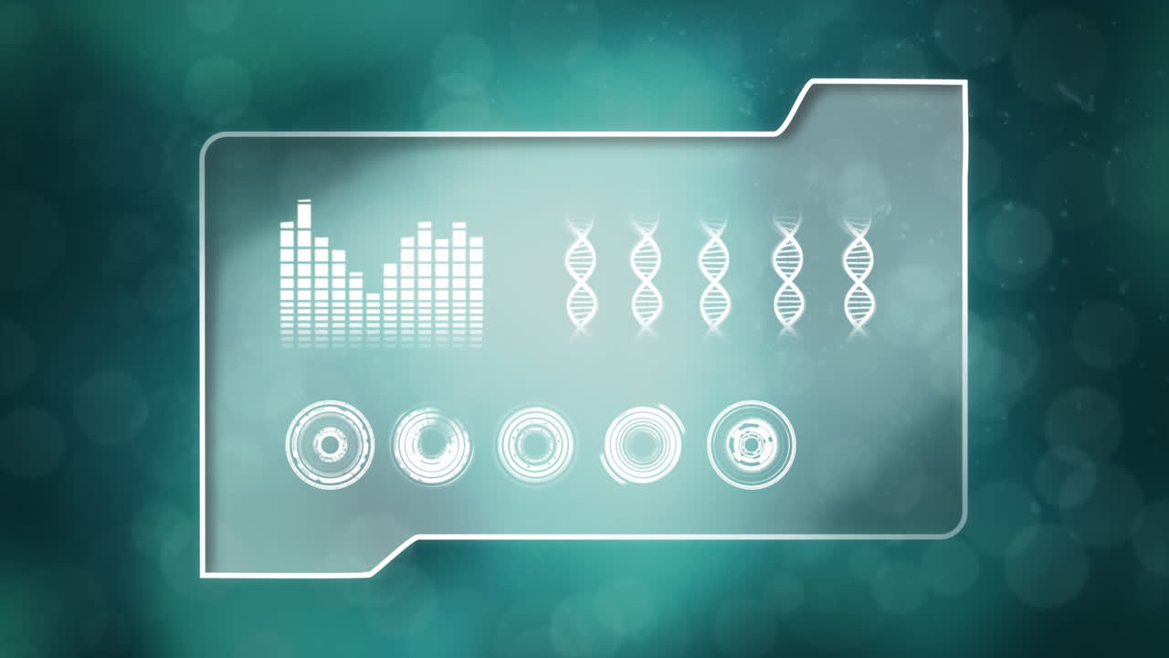 carpeta de archivos con gráficos e ilustraciones