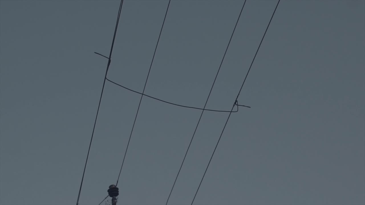 아침에 전력선과 구름 없는 하늘을 볼 수 있는 전원 공급 장치를 담당하는 전봇대에서 위로 기울입니다.