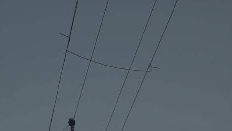 Tilt-up-shot-from-a-power-pole-responsible-for-the-power-supply-with-view-of-the-power-lines-and-the-cloudless-sky-in-the-morning