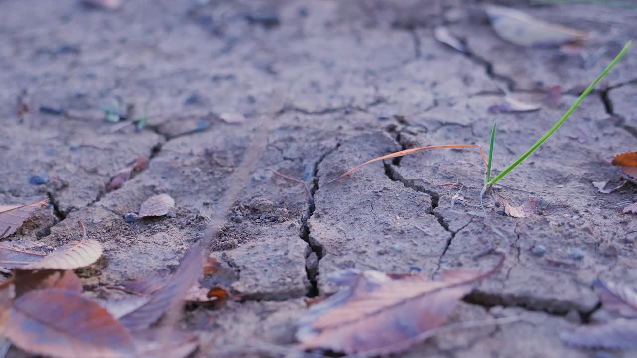 Dehydrated cracked ground during a hot day
