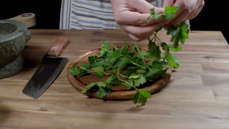 Skilled-chef-delicately-plucks-fresh-parsley-leaves-from-the-stems-for-the-preparation-of-chimichurri,-the-renowned-argentine-sauce