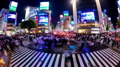 shinjuku crossing at night