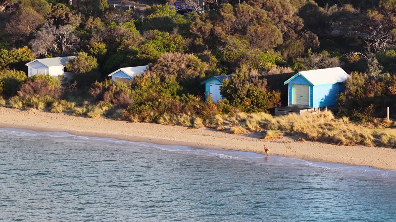 Drone pans over blue beach huts, sandy shore, and coastal vegetation in soft afternoon sunlight