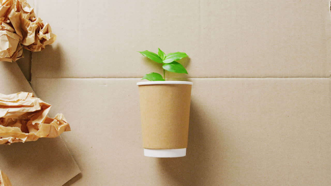 primer plano de basura de papel y taza con planta en fondo de cartón, con espacio para copiar