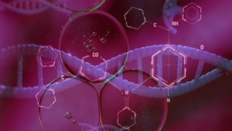 animación de burbujas sobre cadena de adn y fórmula química en fondo púrpura.