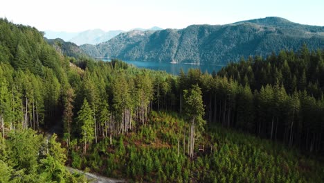 drone flying over a mountainous forest towards a large lake