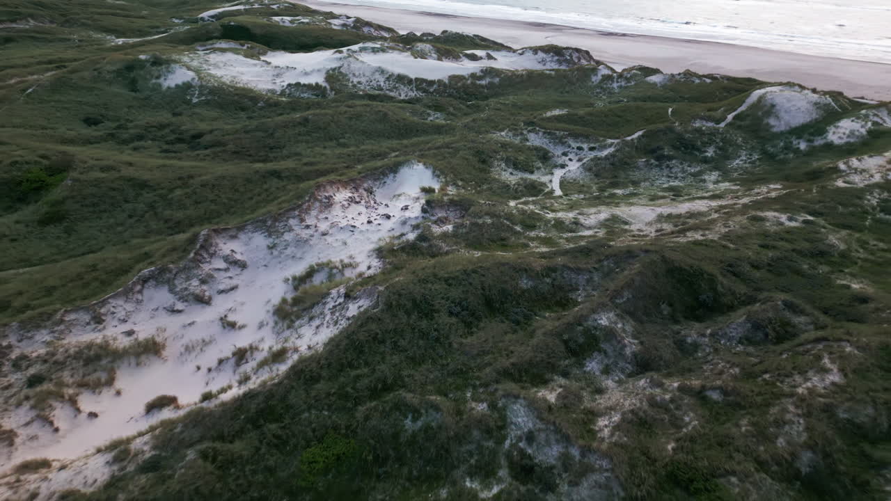 senderos de dunas verdes que conducen al mar del norte en la playa de henne