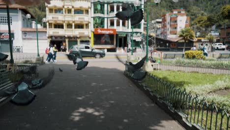 Taubenschwarm-Fliegt-Auf-Dem-Hauptplatz-Von-Baños-De-Agua-Santa-Stadt-In-Ecuador