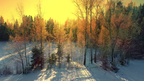 Aerial-backwards-flight-of-yellow-colored-sky-during-sunrise-in-nature-with-forest-trees,wooden-cottage-and-barrel-sauna