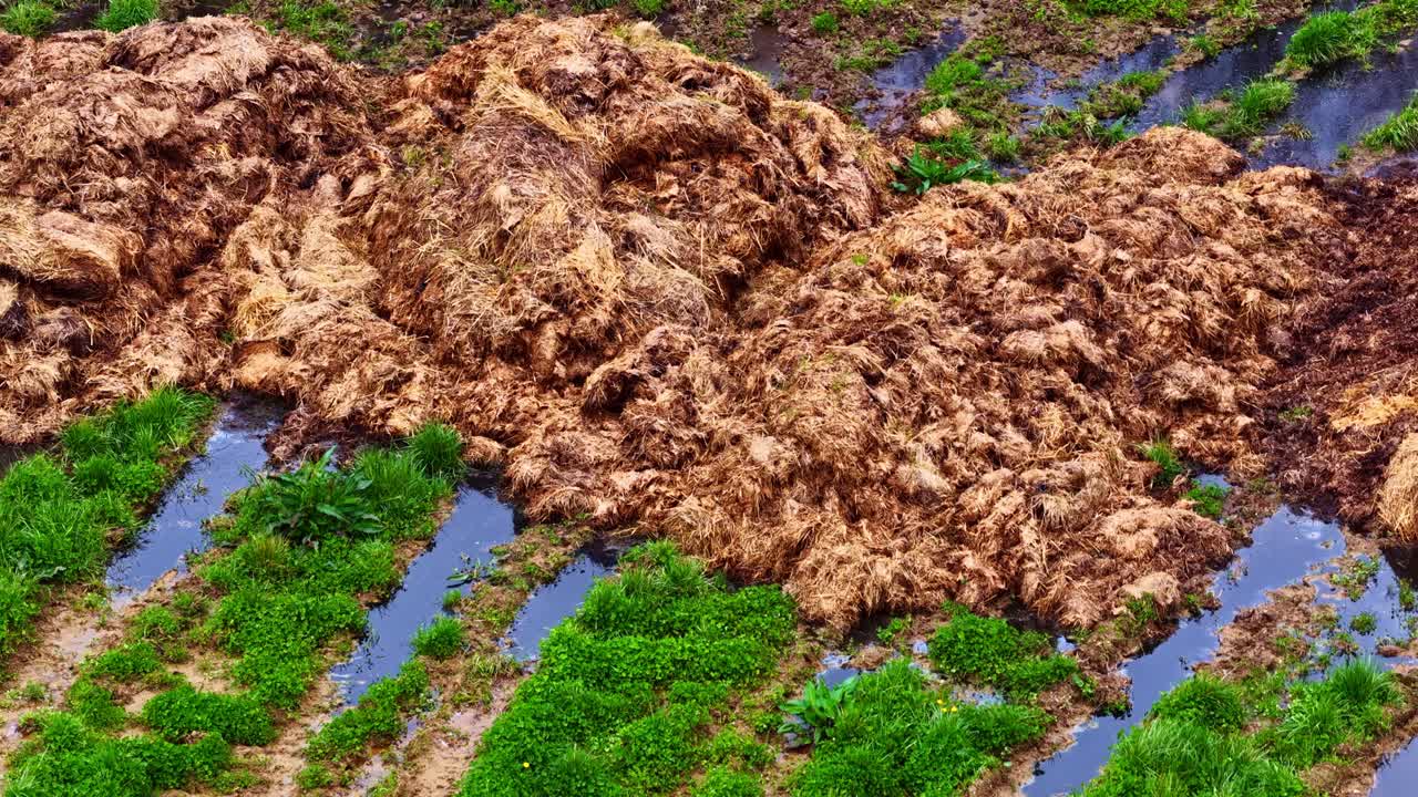 Waterlogged field with piles of organic material interspersed with green vegetation. Useful for agricultural or environmental studies