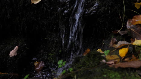 Wasser-Strömt-Die-Moosbedeckte-Felswand-Hinunter.-Abgesperrt