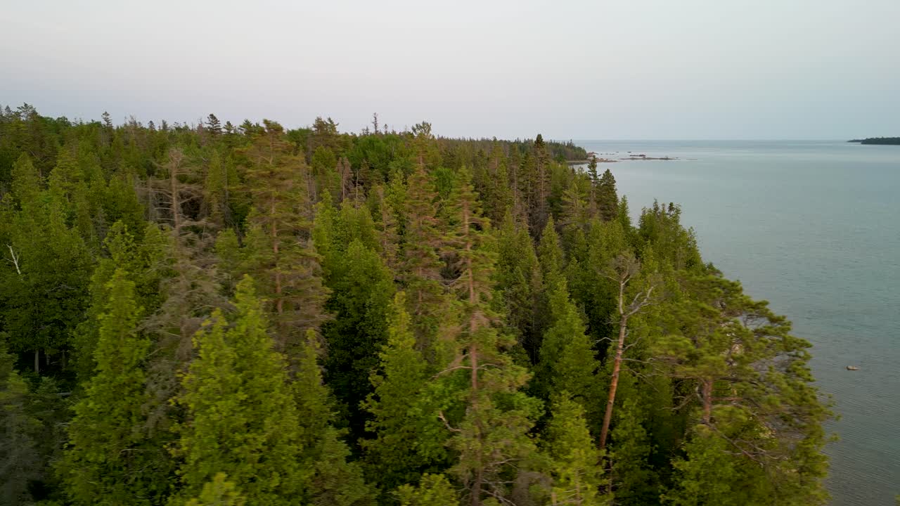 Aerial view over trees to lake shoreline at dusk, Michigan