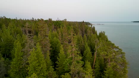 aerial view over trees to lake shoreline at dusk, michigan