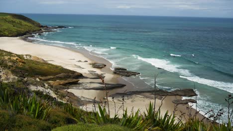 aerial panning shot of beautiful kauri coastline with sandy beach and pacific ocean during autumn