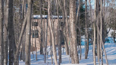 Chalet-Ecológico-Autosostenible-En-El-Bosque-De-Invierno