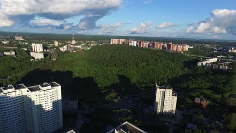 aerial view of a city with a forest