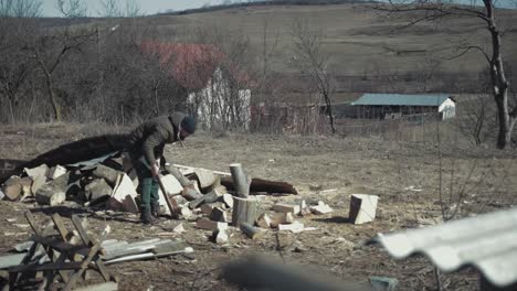cracking firewood for winter