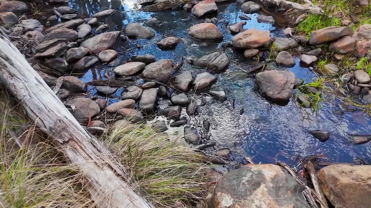 Sebuah bidikan sudut tinggi menangkap air jernih yang mengalir di atas bebatuan halus di sungai Australia yang damai.