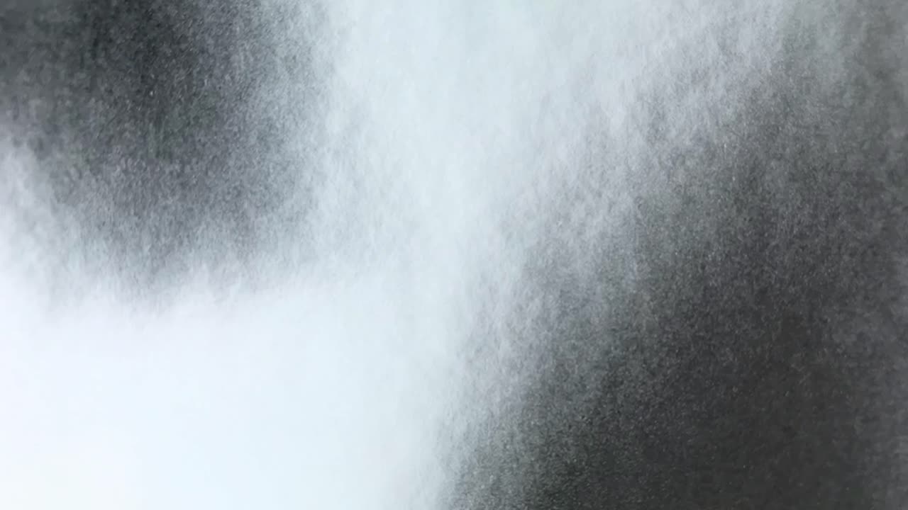 비행 유기물 또는 먼지 입자 슬로우 모션 애니메이션