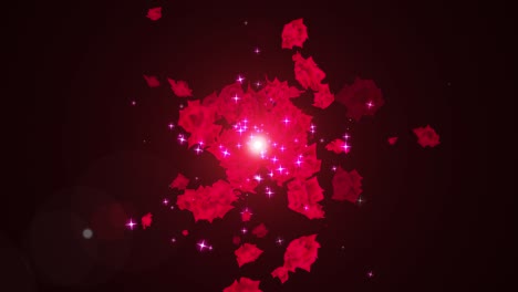 animación de bucle de partículas de rosa roja