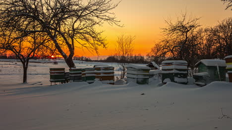 sun sets over snow covered landscape with beehives, red orange sky