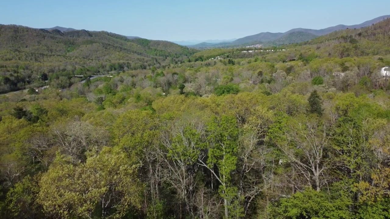 Montagne di Black Mountain, Carolina del Nord, in primavera, vicino ad Asheville, Carolina del Nord