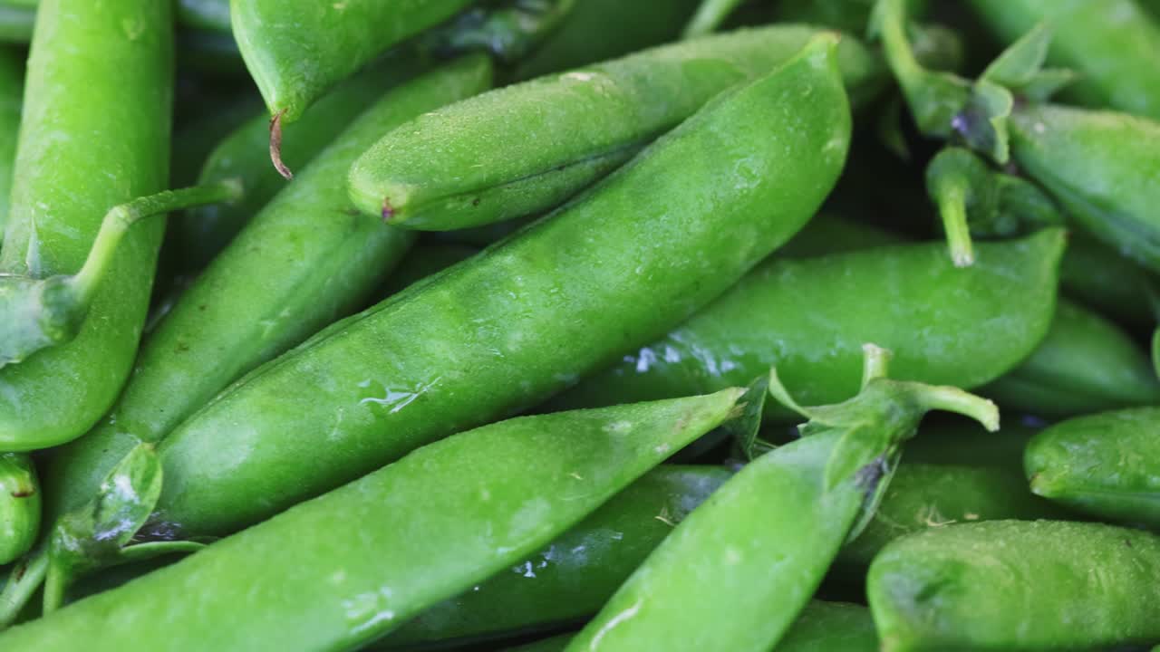 신선한 초록 콩 어리 회전 근접. 콩 배경. 루프 모션