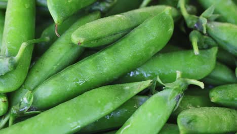 rotación de las vainas de guisantes verdes frescas de cerca. fondo de los guisantes. movimiento de bucle
