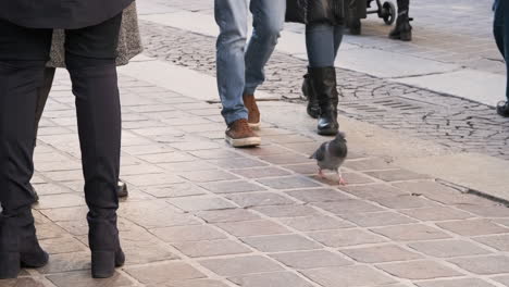 cropped image of people standing and walking in the pedestrian street at the city in monza, italy during winter - slow motion