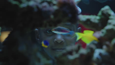 Niña-Negra-Mirando-Peces-En-El-Acuario-Niño-Curioso-Observando-La-Colorida-Vida-Marina-Nadando-En-El-Tanque-Aprendiendo-Sobre-Animales-Marinos-En-El-Ecosistema-Submarino-Niño-Curioso-En-El-Oceanario