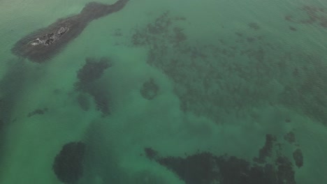 drone aerial view in south korea countryside flying over the ocean top view green blue shades birds flying jeju island