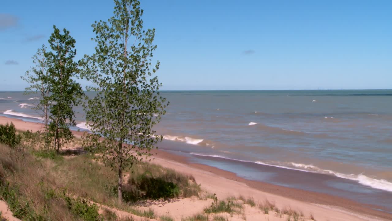 Beach with Trees and Ocean View