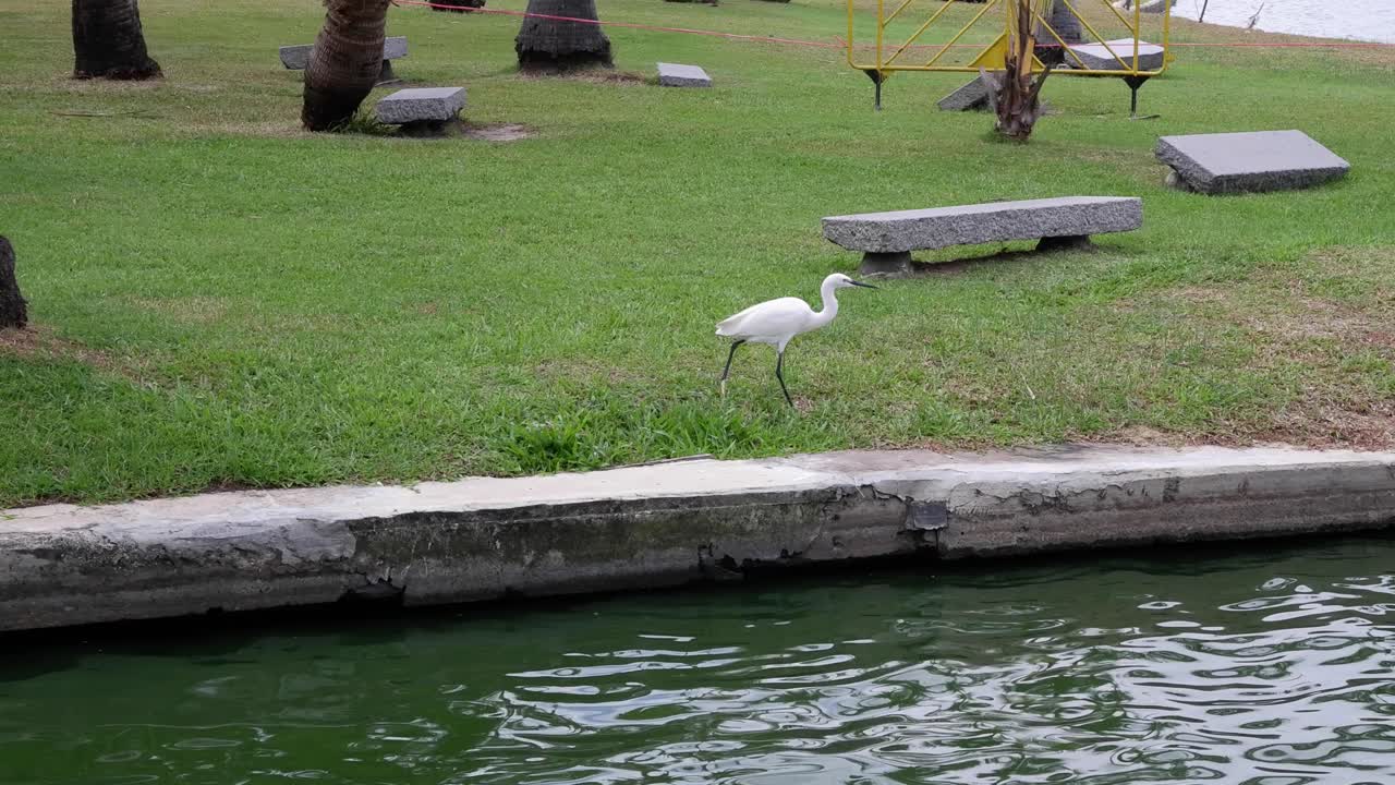 독수리는 물 을 고 날아갑니다.