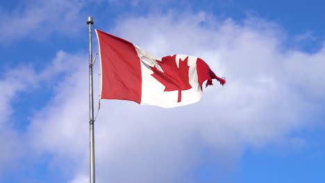 canadian maple leaf flag blowing in the wind with blue sky and clouds